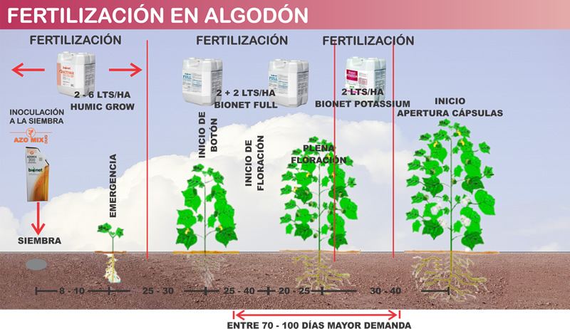 FERTILIZACIÓN PROGRESIVA RECOMENDADA