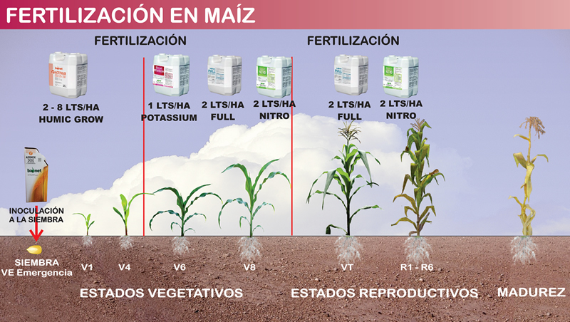 FERTILIZACIÓN PROGRESIVA RECOMENDADA