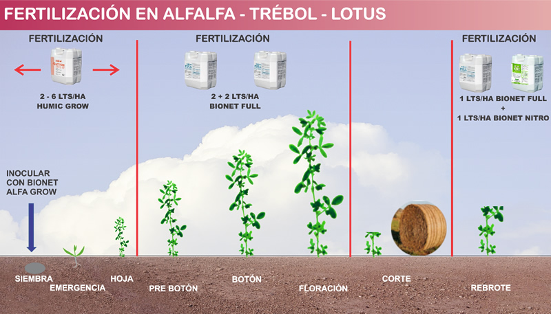 FERTILIZACIÓN PROGRESIVA RECOMENDADA