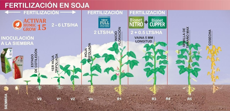 FERTILIZACIÓN PROGRESIVA RECOMENDADA