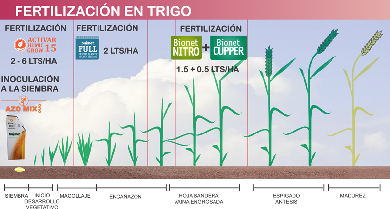 FERTILIZACIÓN PROGRESIVA RECOMENDADA